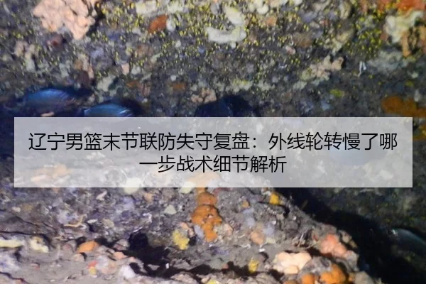 辽宁男篮末节联防失守复盘：外线轮转慢了哪一步战术细节解析