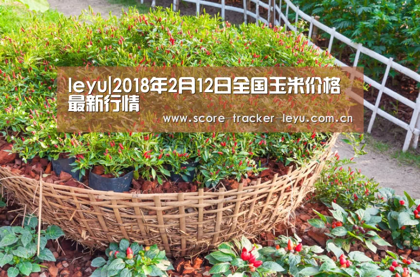 leyu|2018年2月12日全国玉米价格最新行情(图1) 乐鱼